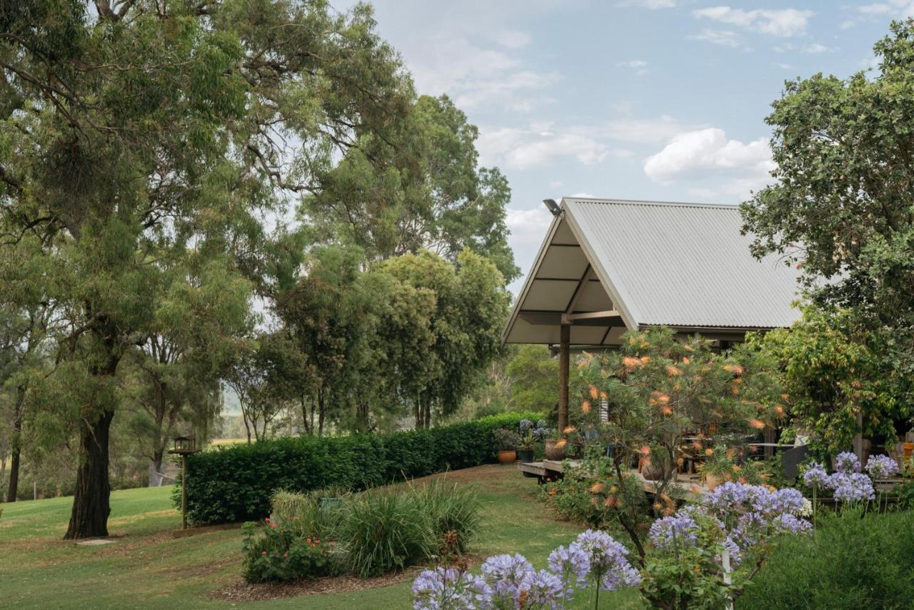 Elfin Hill Vineyard Accommodation Pokolbin Exterior foto